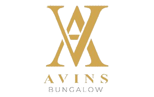 avins-removebg-preview