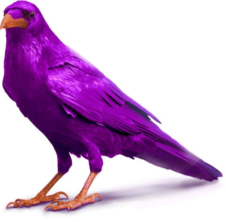 Digital Marketing Agency in Udaipur | Digital Marketing Agency