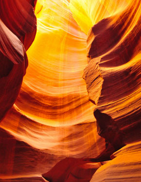 Digital Marketing Training in Udaipur